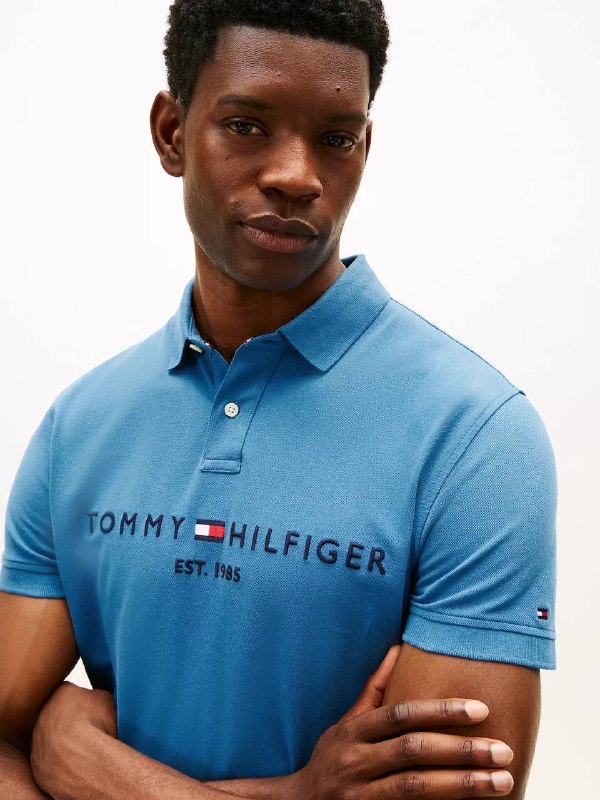 Мужские поло Tommy Hilfiger в бордовом и синем в Калининграде — фото 6